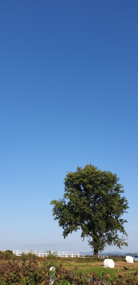 019b1a7421eefb67e9fa0e7d62d6884a_1571701984_5216.jpg 019b1a7421eefb67e9fa0e7d62d6884a_1571701